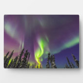 Aurora Borealis | Banken, Alaska Fotoplatte (Vorderseite)