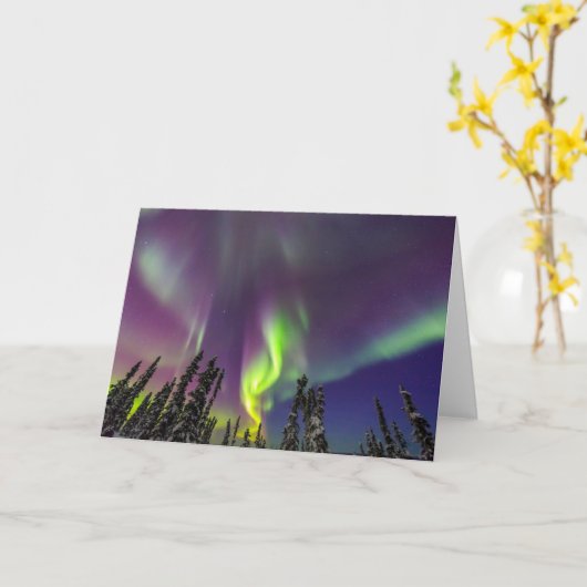 Aurora Borealis | Banken, Alaska Karte (Gelbe Blume)