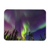 Aurora Borealis | Banken, Alaska Magnet (Horizontal)