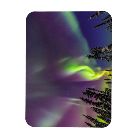 Aurora Borealis | Banken, Alaska Magnet (Vertikal)