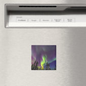 Aurora Borealis | Banken, Alaska Magnet (In Situ (Geschirrspüler))
