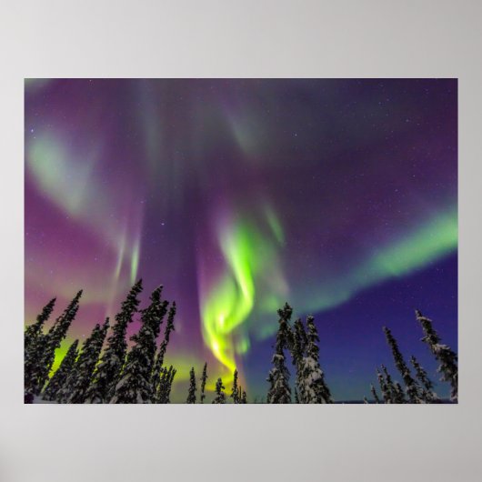 Aurora Borealis | Banken, Alaska Poster (Vorne)