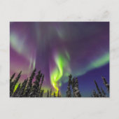 Aurora Borealis | Banken, Alaska Postkarte (Vorderseite)