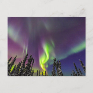 Aurora Borealis   Banken, Alaska Postkarte