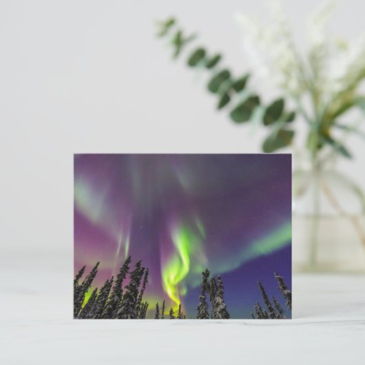 Aurora Borealis | Banken, Alaska Postkarte (Stehend Vorderseite)