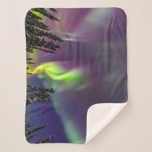 Aurora Borealis | Banken, Alaska Sherpadecke (Vorderseite)