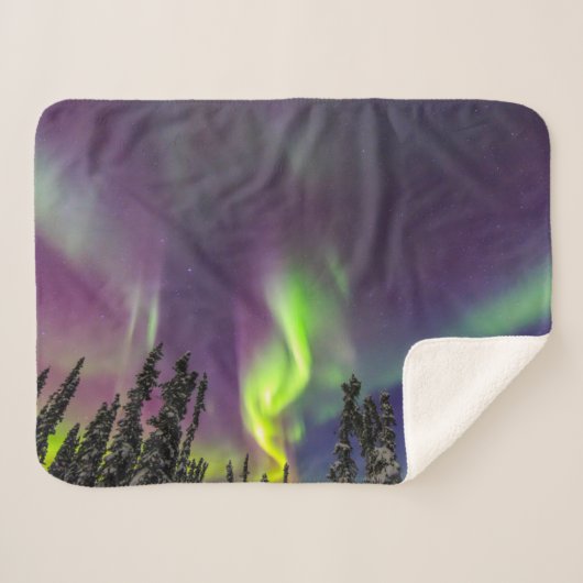 Aurora Borealis | Banken, Alaska Sherpadecke (Vorderseite (Horizontal))