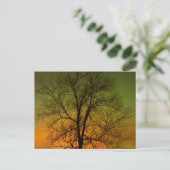 Aurora Borealis & Baumwollbaum Postkarte (Stehend Vorderseite)