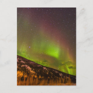 Aurora Borealis   Berge Fairbanks Alaska Postkarte
