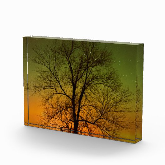 Aurora Borealis & Cottonwood Tree Fotoblock (Rechts)