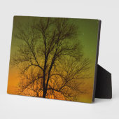Aurora Borealis & Cottonwood Tree Fotoplatte (Seite)
