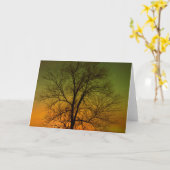 Aurora Borealis & Cottonwood Tree Karte (Gelbe Blume)