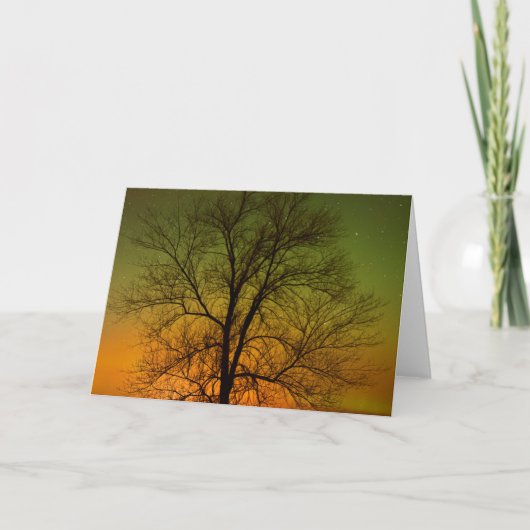 Aurora Borealis & Cottonwood Tree Karte (Vorderseite)