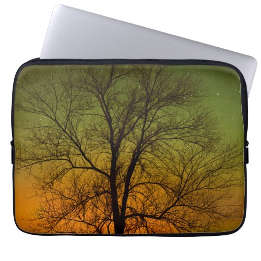 Aurora Borealis & Cottonwood Tree Laptopschutzhülle (Vorderseite)