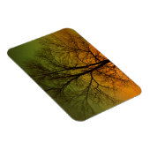 Aurora Borealis & Cottonwood Tree Magnet (Rechte Seite)