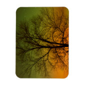 Aurora Borealis & Cottonwood Tree Magnet (Vertikal)