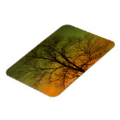 Aurora Borealis & Cottonwood Tree Magnet (Linke Seite)
