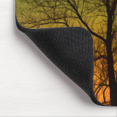 Aurora Borealis & Cottonwood Tree Mousepad (Ecke)