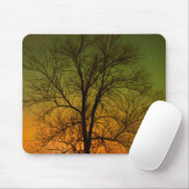 Aurora Borealis & Cottonwood Tree Mousepad (Mit Mouse)