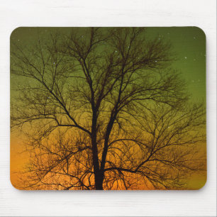 Aurora Borealis & Cottonwood Tree Mousepad