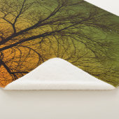 Aurora Borealis & Cottonwood Tree Sherpadecke (3/4)