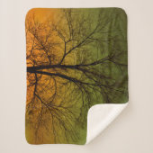 Aurora Borealis & Cottonwood Tree Sherpadecke (Vorderseite)