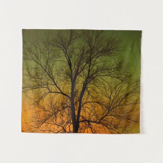 Aurora Borealis & Cottonwood Tree Wandteppich (Vorderseite (Horizontal))