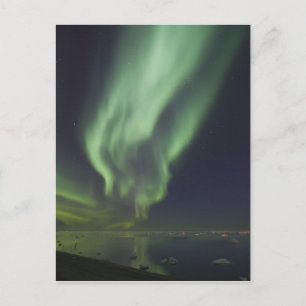 Aurora Borealis gespiegelt im Arktischen Ozean Postkarte