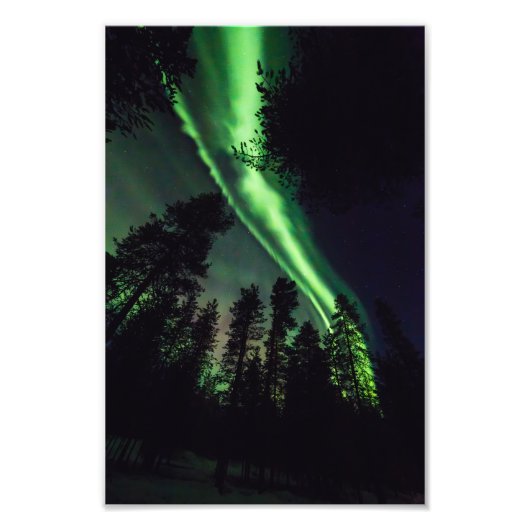 Aurora borealis im finnischen Lappland Fotodruck (Vorne)