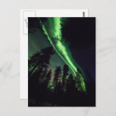 Aurora borealis im finnischen Lappland Postkarte (Vorne/Hinten)