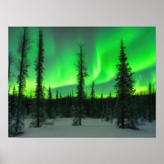 Aurora borealis im Winterposter Poster (Vorne)