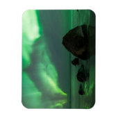 Aurora Borealis | Lofoten Beach Norwegen Magnet (Vertikal)