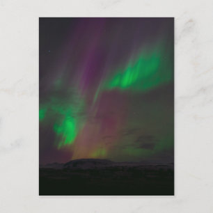 Aurora Borealis Nordlichter Bäume Naturlandschafte Postkarte