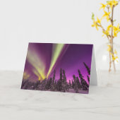 Aurora Borealis Northern Lights Fairbanks Alaska Karte (Gelbe Blume)