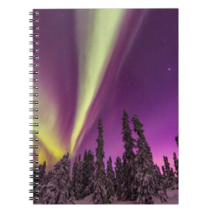 Aurora Borealis Northern Lights Fairbanks Alaska Notizblock