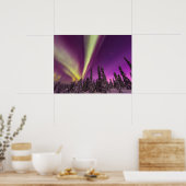 Aurora Borealis Northern Lights Fairbanks Alaska Poster (Küche)