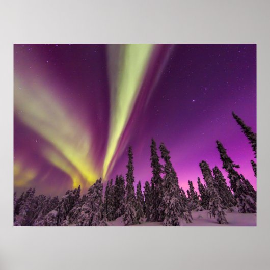 Aurora Borealis Northern Lights Fairbanks Alaska Poster (Vorne)