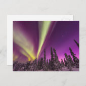 Aurora Borealis Northern Lights Fairbanks Alaska Postkarte (Vorne/Hinten)