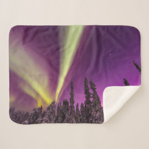 Aurora Borealis Northern Lights Fairbanks Alaska Sherpadecke