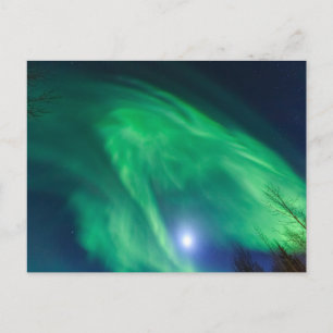 Aurora Borealis Northern Lights   Fairbanks Postkarte