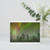 Aurora Borealis Northern Lights Skies Glow Sparkon Postkarte (Stehend Vorderseite)