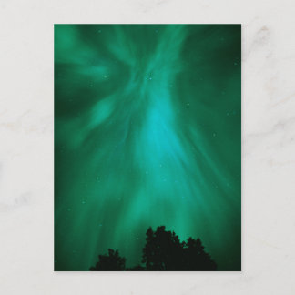 Aurora Borealis | Ontario, Kanada Postkarte