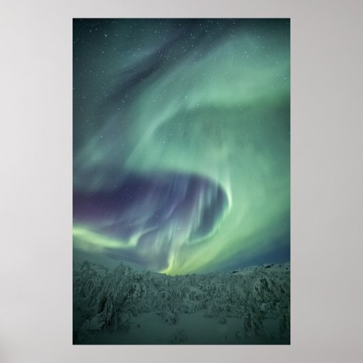 Aurora Borealis Poster (Vorne)