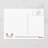 Aurora Borealis Postkarte (Rückseite)