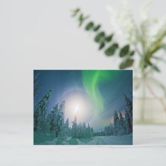 Aurora Borealis Postkarte (Stehend Vorderseite)