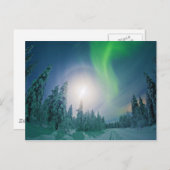 Aurora Borealis Postkarte (Vorne/Hinten)