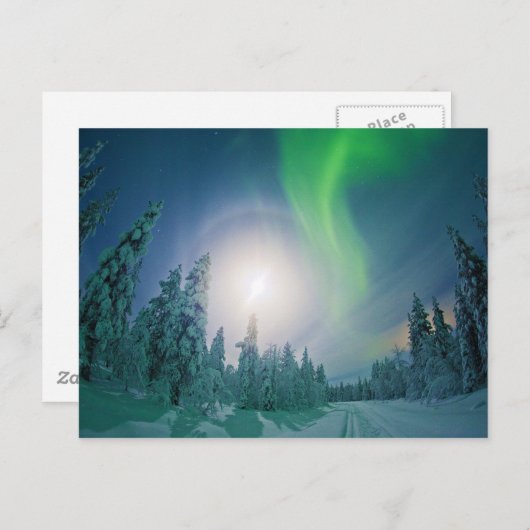 Aurora Borealis Postkarte (Vorne/Hinten)