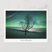 Aurora Borealis Postkarte (Vorderseite)