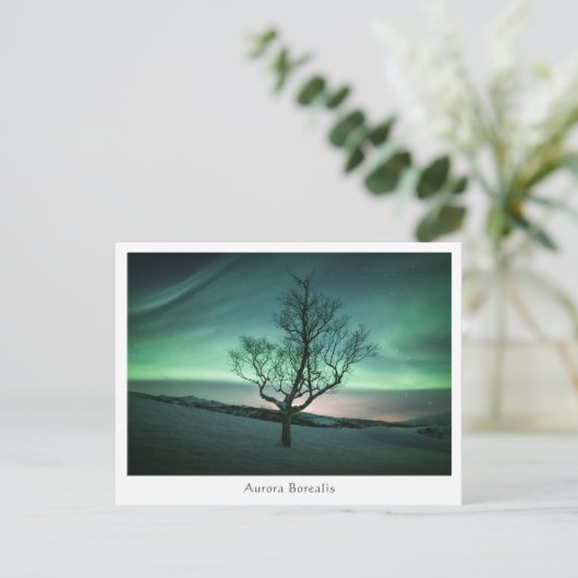 Aurora Borealis Postkarte (Stehend Vorderseite)