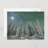 Aurora Borealis Postkarte (Vorne/Hinten)